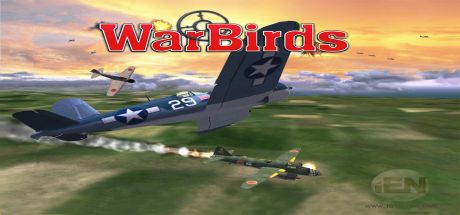 WarBirds  World War II Combat Aviation PC hoesje