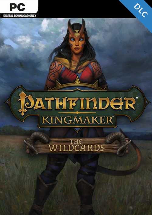 Pathfinder Kingmaker - The Wildcards PC - DLC hoesje