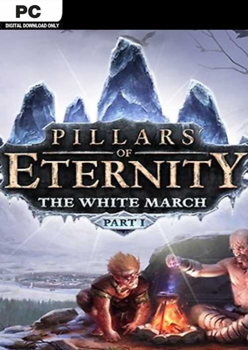 Pillars of Eternity - The White March Part 1 PC hoesje