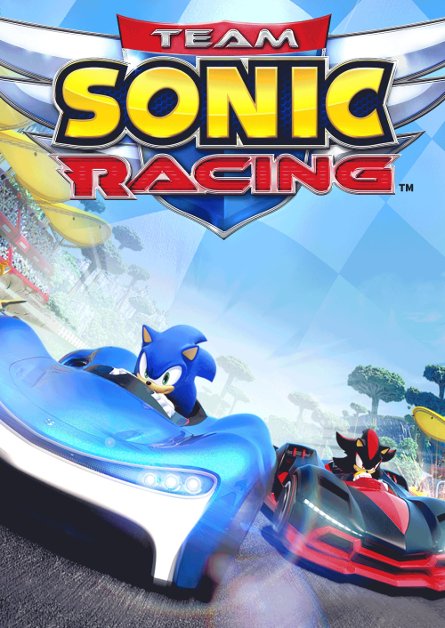 Team Sonic Racing PC hoesje