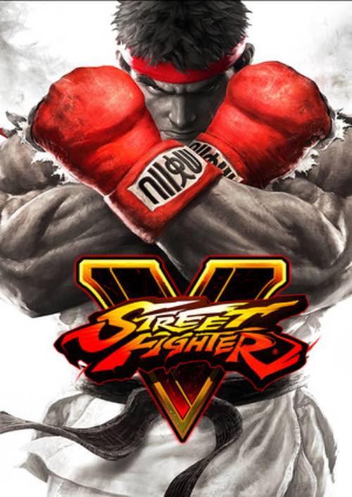 Street Fighter V 5 PC hoesje